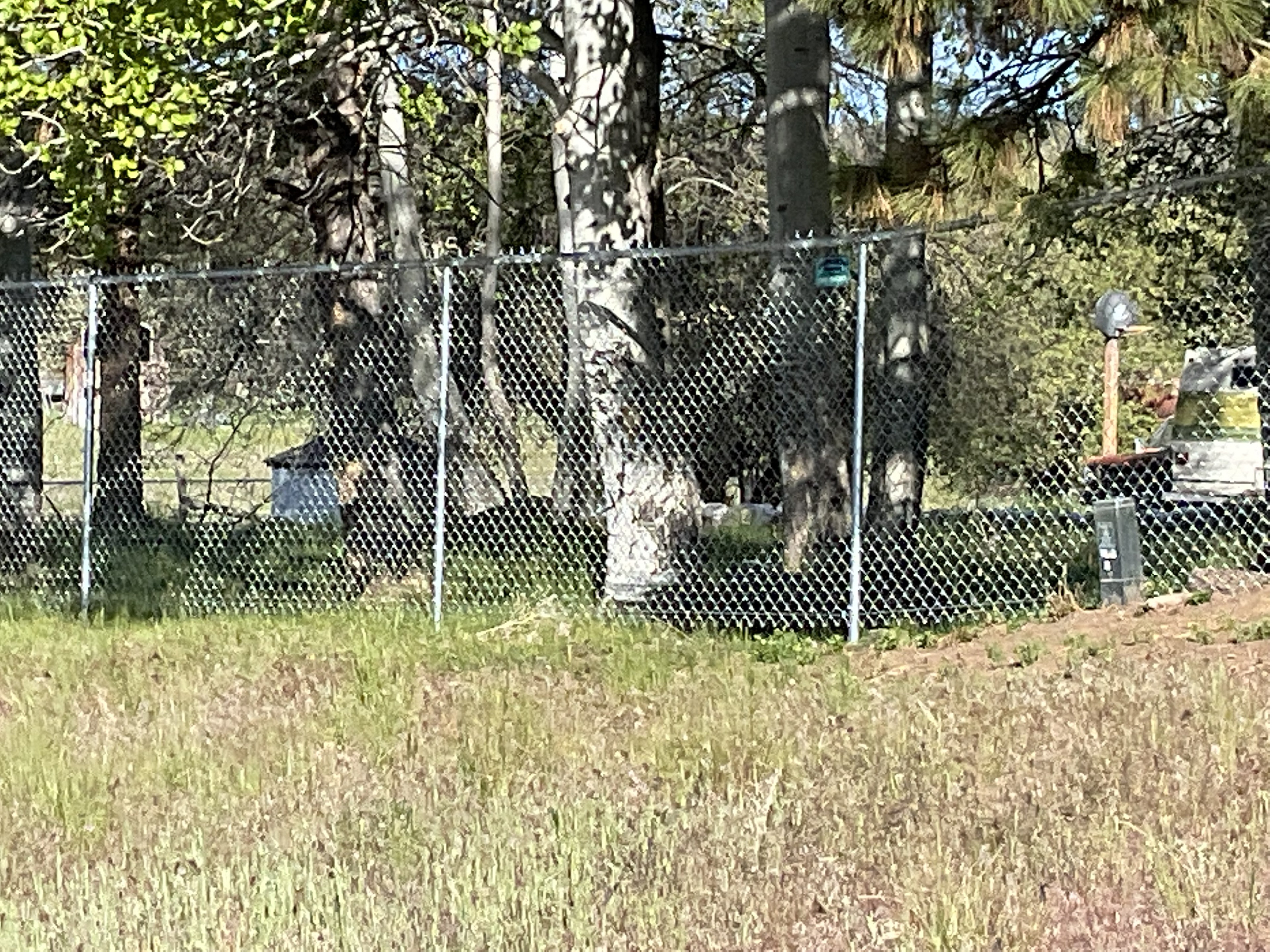 Chain link fence installation in a wooded residential setting — Klamath Falls, OR