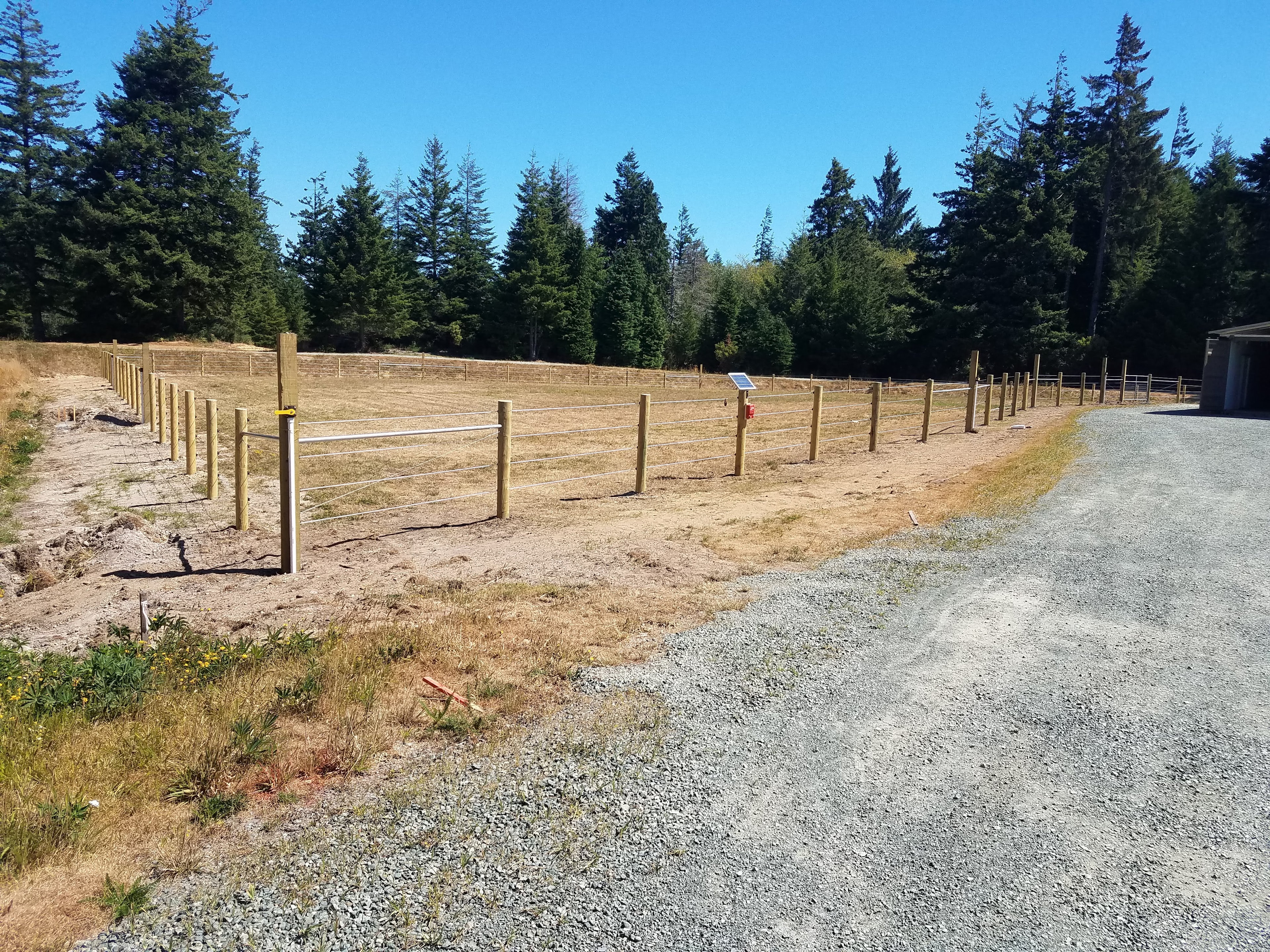 Rural wood post and wire fence enclosure with forest backdrop