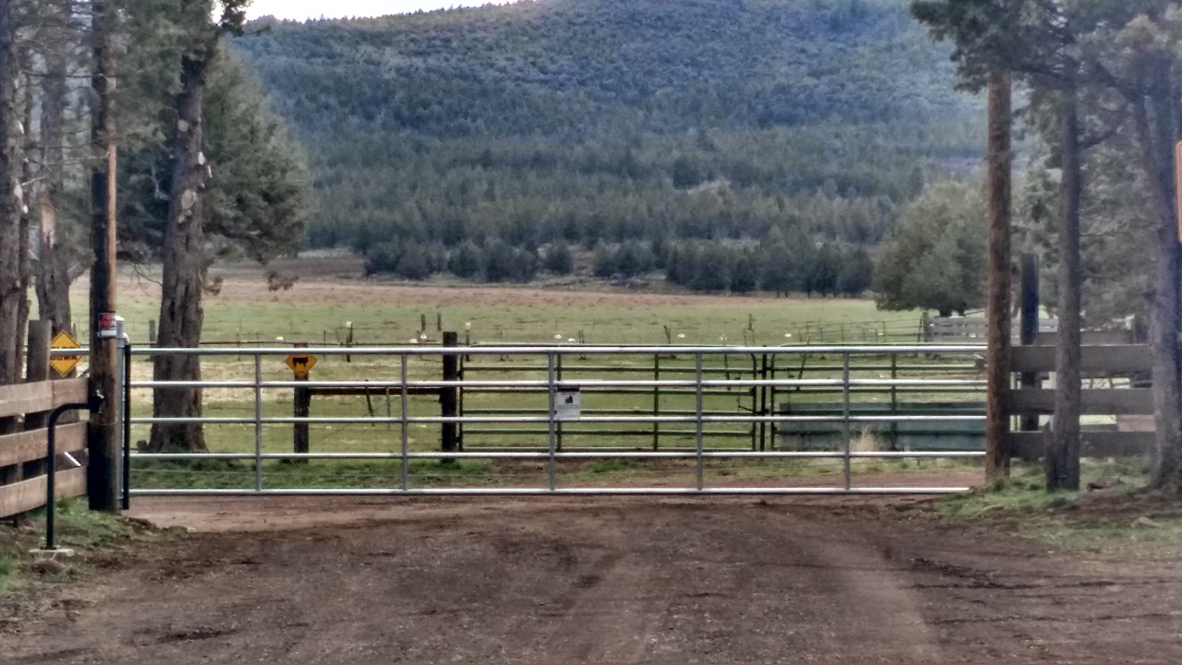 Custom galvanized ranch gate with mountain and forest backdrop